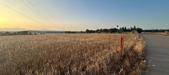  قطعة أرض في Mallorca, Spain رقم 155365 8