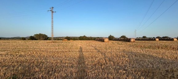  قطعة أرض في Mallorca, Spain رقم 155365 6