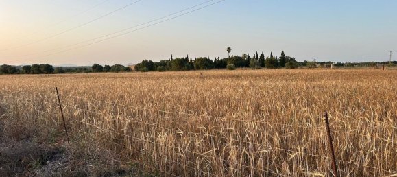  قطعة أرض في Mallorca, Spain رقم 155365 11