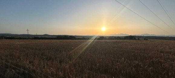  قطعة أرض في Mallorca, Spain رقم 155365 15