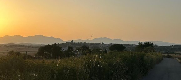  قطعة أرض في Mallorca, Spain رقم 155365 14