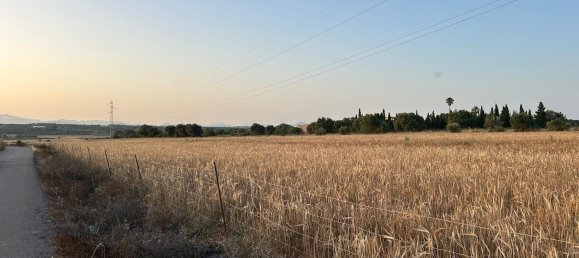  قطعة أرض في Mallorca, Spain رقم 155365 12