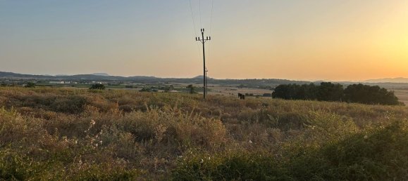  قطعة أرض في Mallorca, Spain رقم 155365 10