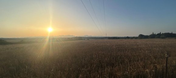  قطعة أرض في Mallorca, Spain رقم 155365 2