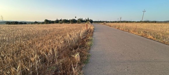  قطعة أرض في Mallorca, Spain رقم 155365 7