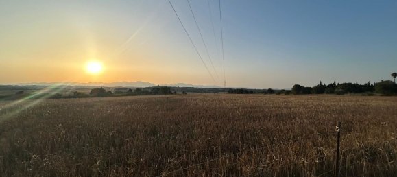  قطعة أرض في Mallorca, Spain رقم 155365 4