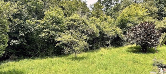 Terreno em Ahrweiler, Germany N.º 228896 2