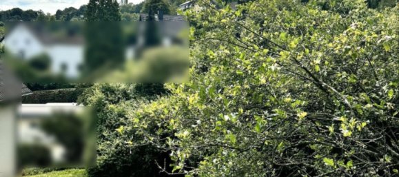 Terreno em Ahrweiler, Germany N.º 228896 3