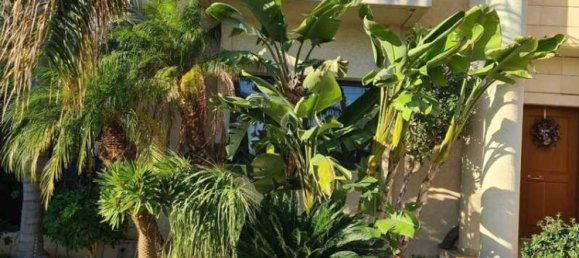 5 bedrooms Commercial property in Agios Athanasios, Cyprus No. 19167 9