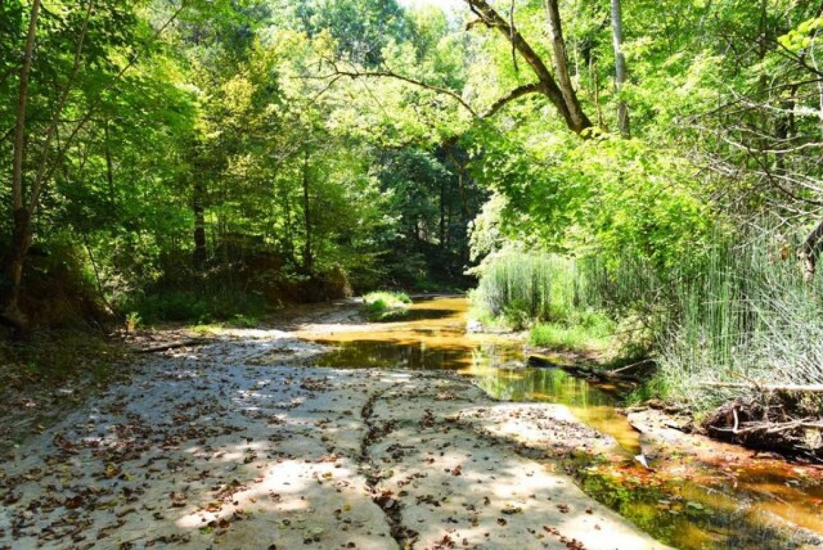  قطعة أرض في Edmonton, USA رقم 478964