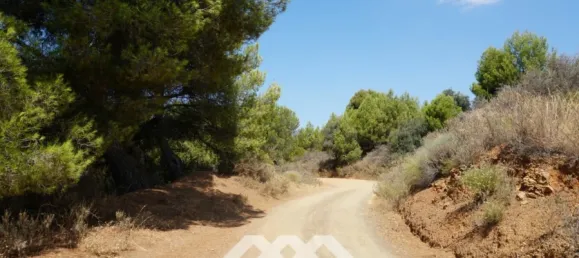 Дом с 3 спальнями в Юнкера, Испания № 53245 18