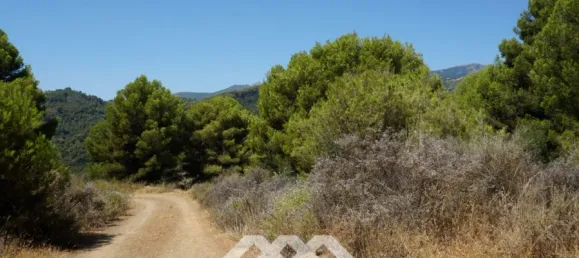 Дом с 3 спальнями в Юнкера, Испания № 53245 17