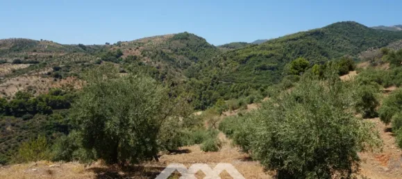 Дом с 3 спальнями в Юнкера, Испания № 53245 31