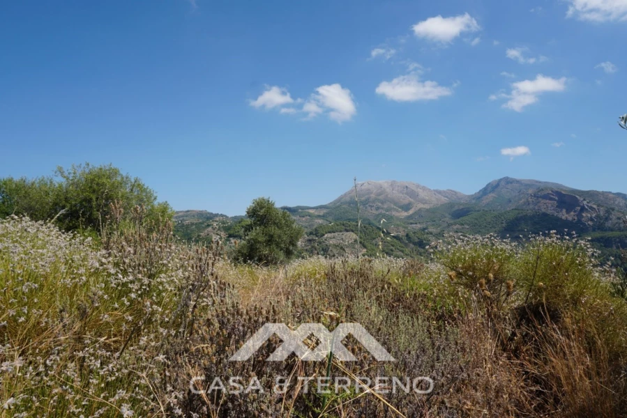 Дом с 3 спальнями в Юнкера, Испания № 53245