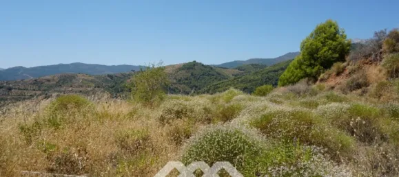 Дом с 3 спальнями в Юнкера, Испания № 53245 26