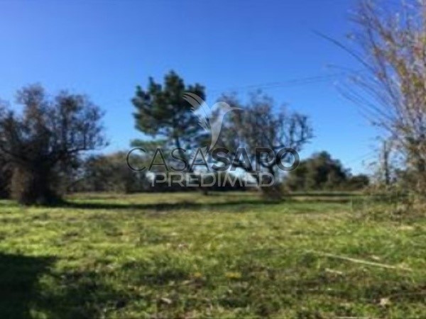  Land in Quarteira, Portugal No. 197286