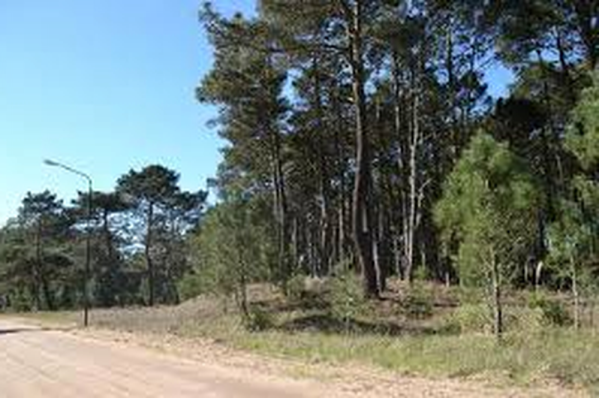  Land in Mar del Plata, Argentina No. 115687