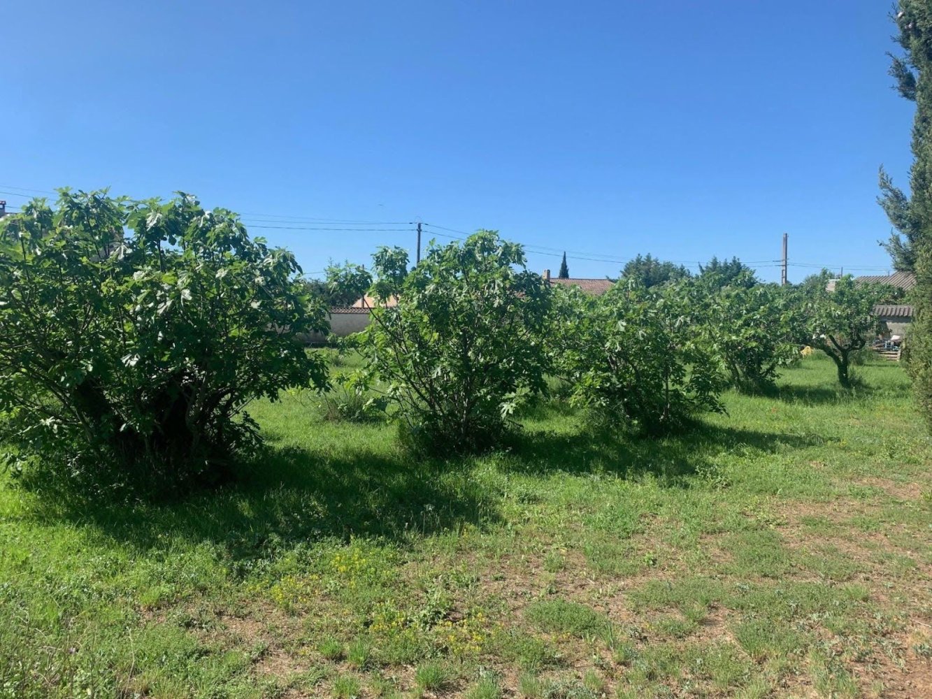 Grundstück in Aubignan, France 700m², Nr. 60960