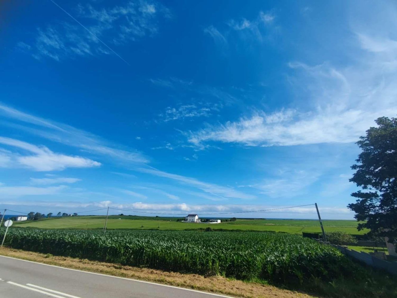  Land in Tapia de Casariego, Spain No. 52106