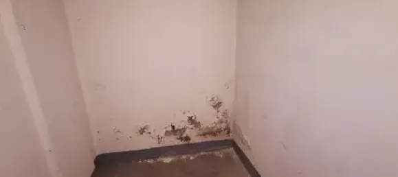 Коммерческая недвижимость 190м² в Altenkirchen, Германия № 174854 12