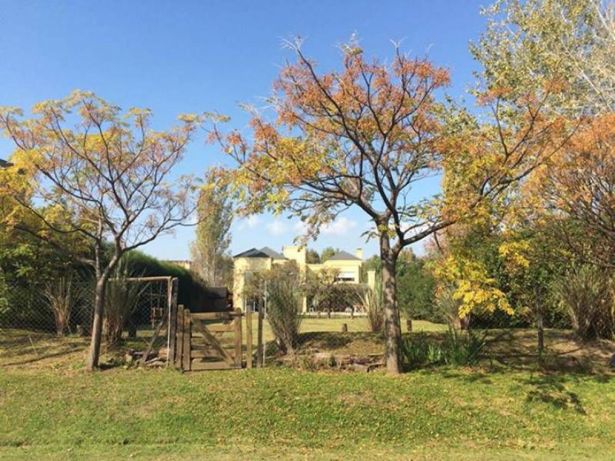  Land in Tigre, Argentina No. 42181