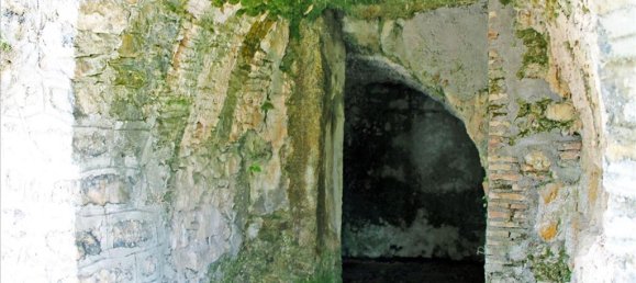 1 chambre house à vendre à Corfu, Central Corfu and Diapontian Islands, Corfu, Ionian Islands, Peloponnese, Western Greece and the Ionian, Greece № 94248 10