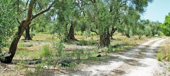 1 chambre house à vendre à Corfu, Central Corfu and Diapontian Islands, Corfu, Ionian Islands, Peloponnese, Western Greece and the Ionian, Greece № 94248 18
