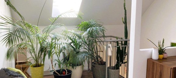 5 rooms House in Marchtrenk, Austria No. 146016 19