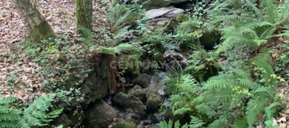 1 غرف نوم منزل في Povoa de Lanhoso, Portugal رقم 14308 18