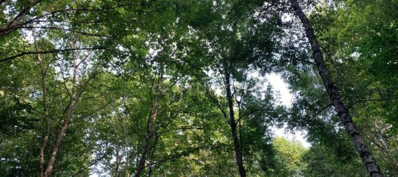 1 غرف نوم منزل في Povoa de Lanhoso, Portugal رقم 14308 46