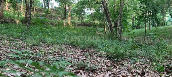 1 غرف نوم منزل في Povoa de Lanhoso, Portugal رقم 14308 48