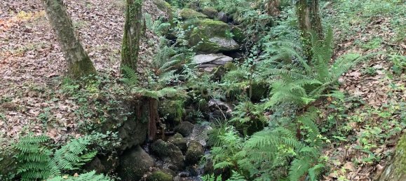 1 غرف نوم منزل في Povoa de Lanhoso, Portugal رقم 14308 21