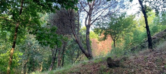 1 غرف نوم منزل في Povoa de Lanhoso, Portugal رقم 14308 43