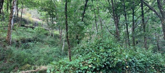 1 غرف نوم منزل في Povoa de Lanhoso, Portugal رقم 14308 2