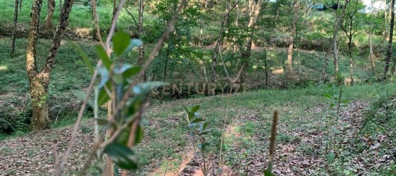 1 غرف نوم منزل في Povoa de Lanhoso, Portugal رقم 14308 42