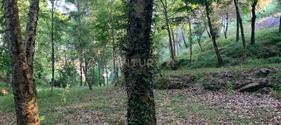 1 غرف نوم منزل في Povoa de Lanhoso, Portugal رقم 14308 23