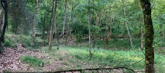 1 غرف نوم منزل في Povoa de Lanhoso, Portugal رقم 14308 32