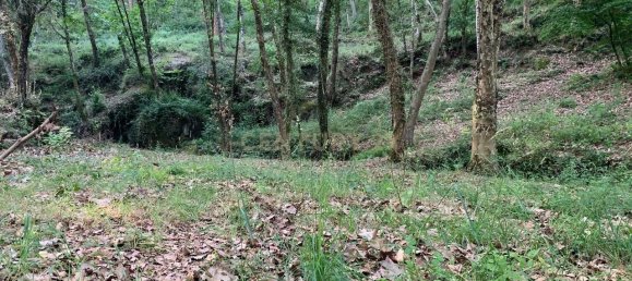 1 غرف نوم منزل في Povoa de Lanhoso, Portugal رقم 14308 45