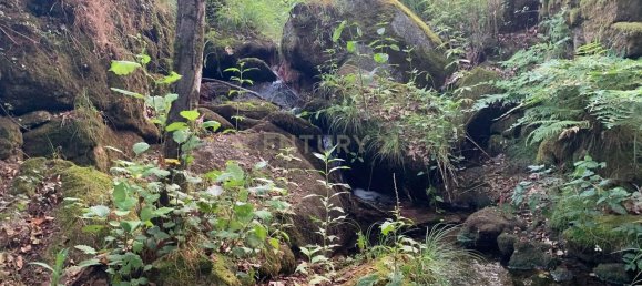 1 غرف نوم منزل في Povoa de Lanhoso, Portugal رقم 14308 41