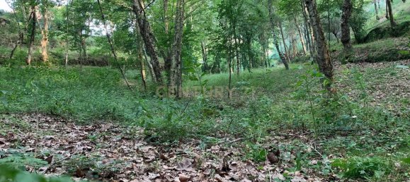 1 غرف نوم منزل في Povoa de Lanhoso, Portugal رقم 14308 47