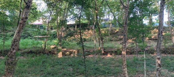 1 غرف نوم منزل في Povoa de Lanhoso, Portugal رقم 14308 31