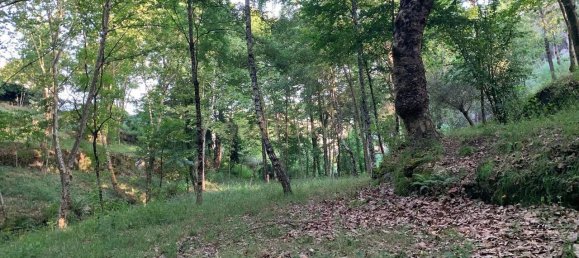 1 غرف نوم منزل في Povoa de Lanhoso, Portugal رقم 14308 24