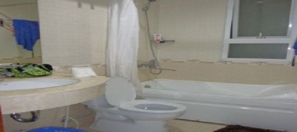 1 bedroom Apartment in Ba Dinh, Vietnam No. 4543 4