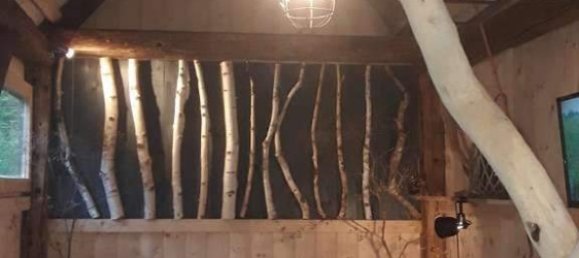 5 rooms House in Pupping, Austria No. 153417 14