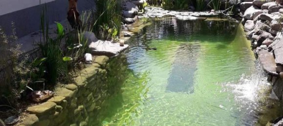 5 rooms House in Pupping, Austria No. 153417 11