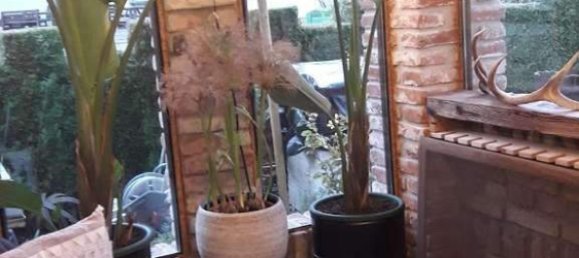 5 rooms House in Pupping, Austria No. 153417 3