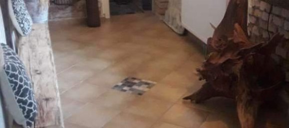 5 rooms House in Pupping, Austria No. 153417 4