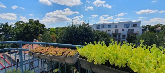 3غرفة بانتهاوس في Hietzing, Austria رقم 195152 19