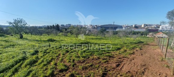 4210m² Land in Portimao, Portugal No. 73276 15