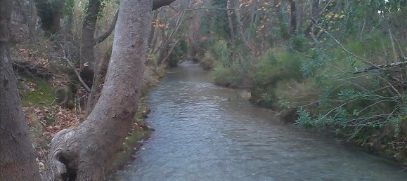 6 bedrooms Villa in Marathon, Greece No. 5261 7